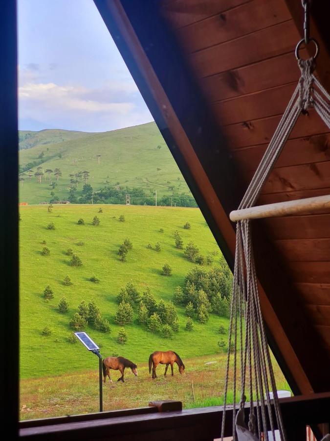 Brvnara Cigota Villa Zlatibor Eksteriør billede