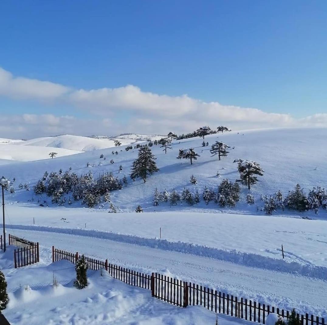 Brvnara Cigota Villa Zlatibor Eksteriør billede